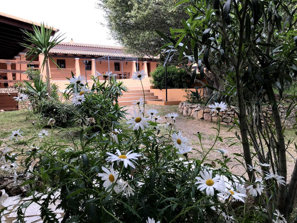 Casagliana Suite Resort 奧爾比亞 外观 照片